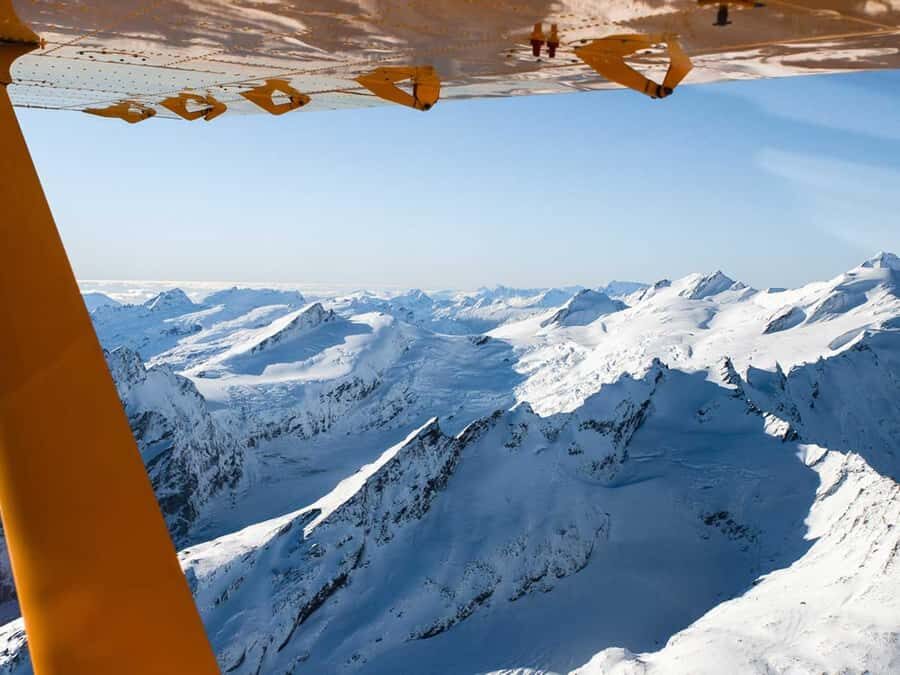 From Wanaka: Milford Sound Flight with Landing & Glaciers - World Heritage Rainforest Scenery: Why the Green Matters After the Ice