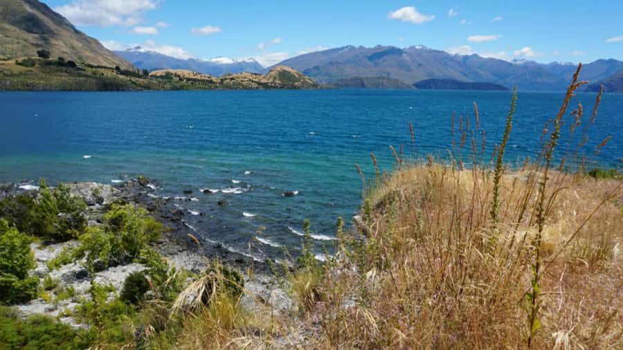 From Wanaka: Ruby Island 1-Hour Cruise and Photo Walk - Key things to know before you go