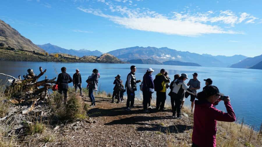 From Wanaka: Ruby Island 1-Hour Cruise and Photo Walk - Should you book the Ruby Island 1-Hour Cruise and Photo Walk?