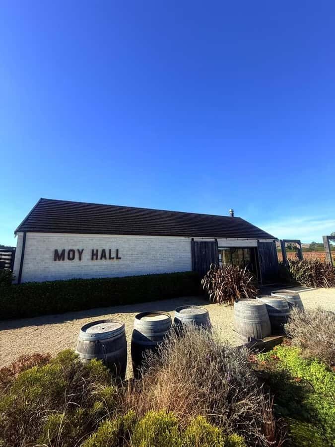 From Wellington: Half-Day Foodie Tour of the Wairarapa - From Wellington to Wairarapa: the day’s flow actually makes sense