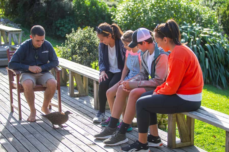 From Wellington: Kapiti Island Classic Guided Day Tour - Waiorua Bay and Kapiti’s predator-free mission