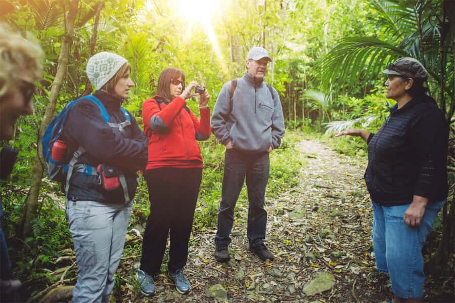 From Wellington: Kapiti Island Classic Guided Day Tour - Morning breakfast and coffee before you board