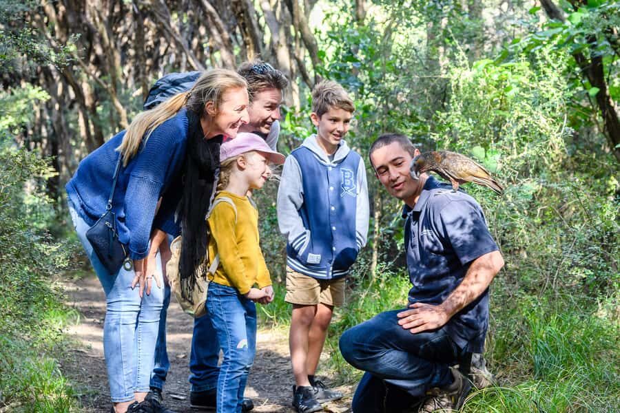 From Wellington: Kapiti Island Classic Guided Day Tour - The guided walk: where conservation stories turn into real meaning