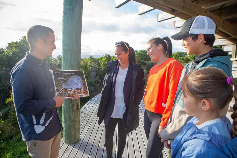 From Wellington: Kapiti Island Classic Guided Day Tour - Who should book Kapiti Island Classic from Wellington?