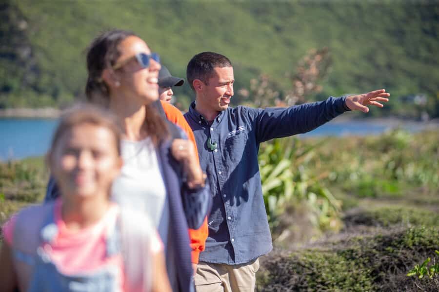 From Wellington: Kapiti Island Classic Guided Day Tour - From Wellington pick-up to Paraparaumu Beach: the day starts easy