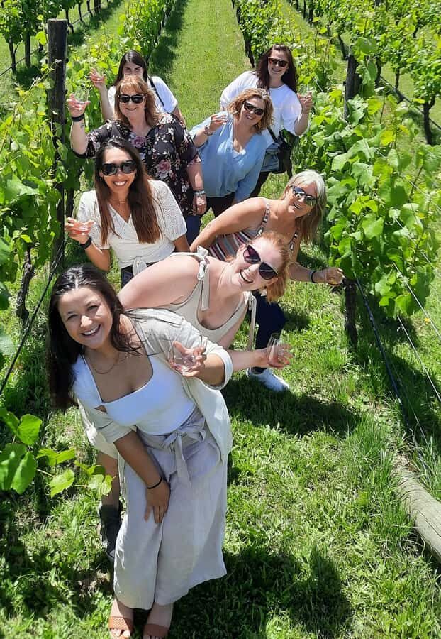 From Wellington: Martinborough Winery Tour - From Wellington to Martinborough in one smooth wine day