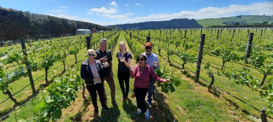 From Wellington: Martinborough Winery Tour - Poppies Martinborough: fixed-menu tastings that keep you moving