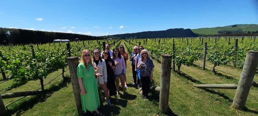 From Wellington: Martinborough Winery Tour - Moy Hall style stop: vineyard views and flexible seating