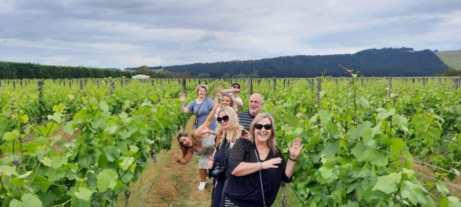 From Wellington: Martinborough Winery Tour - Te Kairanga and other options: old cottage character or big estate stories