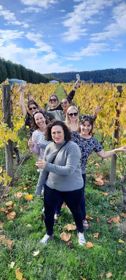 From Wellington: Martinborough Winery Tour - Remutaka Range scenery: the viewpoint break that changes the mood