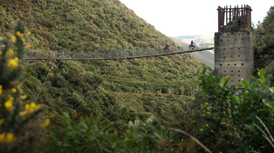 From Wellington: Remutaka Rail Trail eBike Tour - The descent to Cross Creek: scenic farmland riding with energy saved