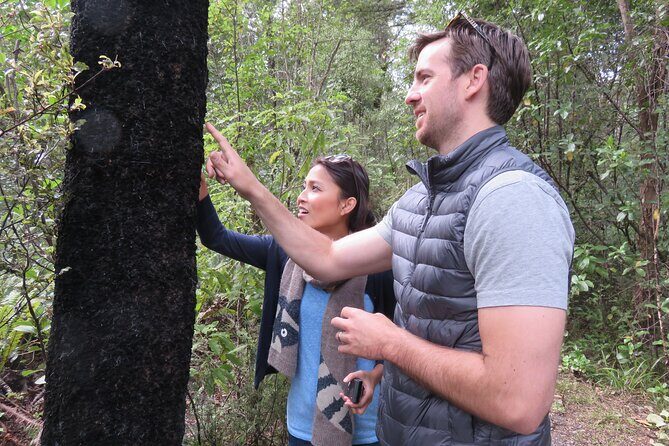 Full-Day Abel Tasman National Park Hiking Tour with Cruise - Nelson pickup to Kaiteriteri: a smooth start and a scenic lead-in