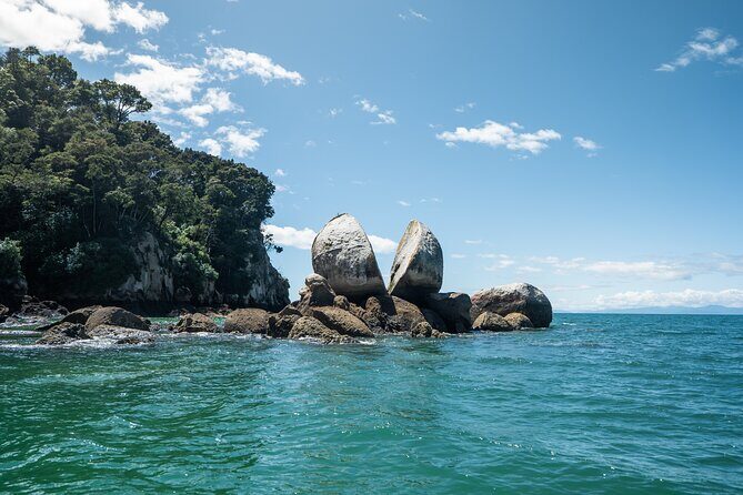 Full-Day Abel Tasman National Park Hiking Tour with Cruise - The afternoon estuary walk to Anchorage: scenery with a twist