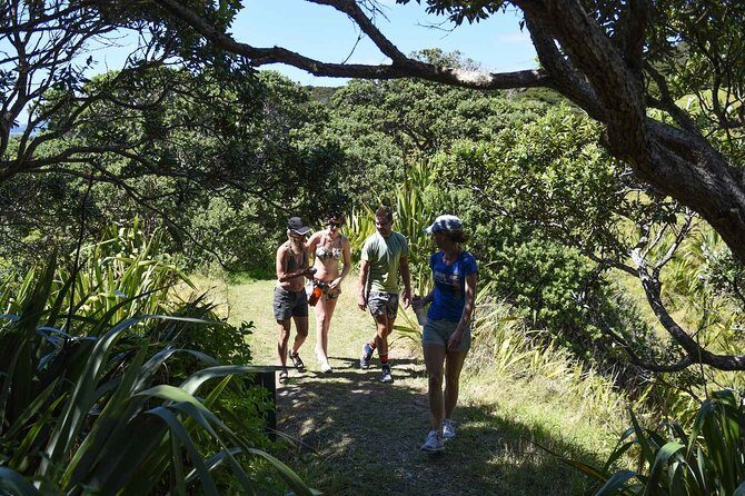 Full-Day Adventure Cruise with Lunch in Bay of Islands - Secluded beach time and that mid-day reset with lunch