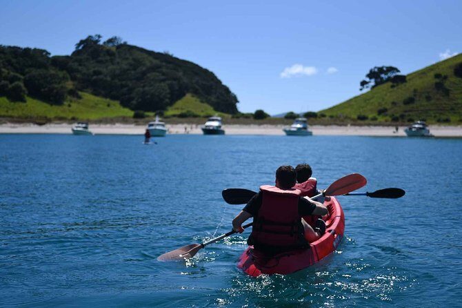 Full-Day Adventure Cruise with Lunch in Bay of Islands - Crew commentary makes the day feel more than activity-chasing