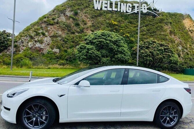 Full-Day Driver with Tesla Car-Customisable North Island Tour - Key highlights to know before you go