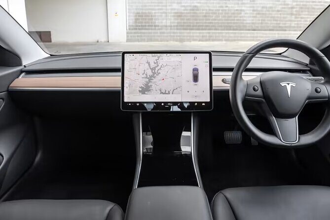 Full-Day Driver with Tesla Car-Customisable North Island Tour - Rotorua Geothermal Reserve and Thermal Parks: mud, bubbles, and geyser time