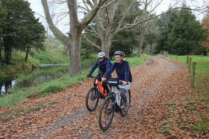 Full Day Ebike Tour in Karangahake Gorge (ex Auckland) - Karangahake Gorge by E-bike: Why This Day Feels Worth the Time