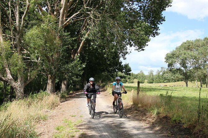 Full Day Ebike Tour in Karangahake Gorge (ex Auckland) - Leaving Auckland: The Air-Conditioned Shuttle Start