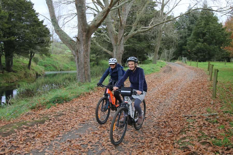 Full Day Ebike Tour - Karangahake Gorge NZ - Key Things That Make This Ebike Day Worth It