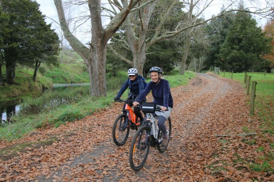 Full Day Ebike Tour - Karangahake Gorge NZ - The Karangahake Tunnel Ride: That 1.1 km Moment