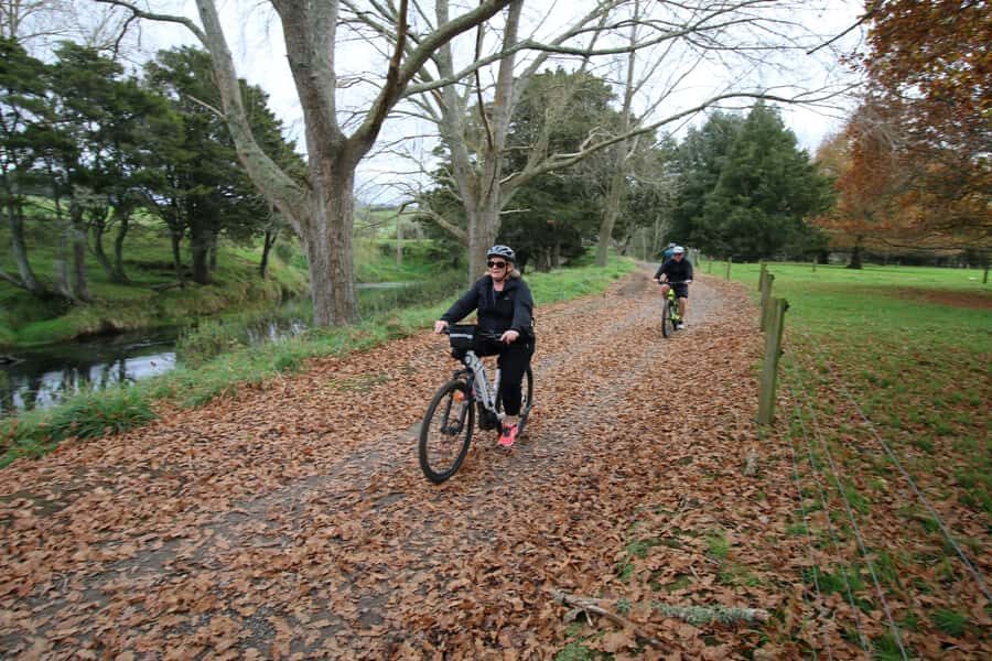 Full Day Ebike Tour - Karangahake Gorge NZ - The Lunch Break at Waikino: Food That Actually Feels NZ