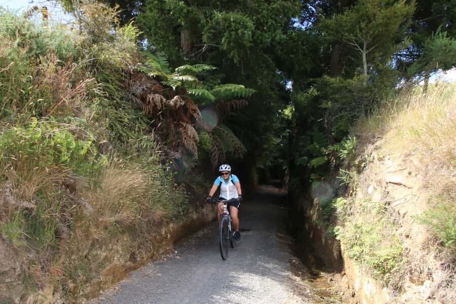 Full Day Ebike Tour - Karangahake Gorge NZ - Auckland Pickup and the Drive That Sets the Tone