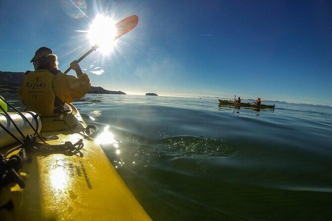 Full-Day Freedom Kayak Rental in New Zealand - Adele Island and Fisherman Island: the wildlife soundtrack you came for
