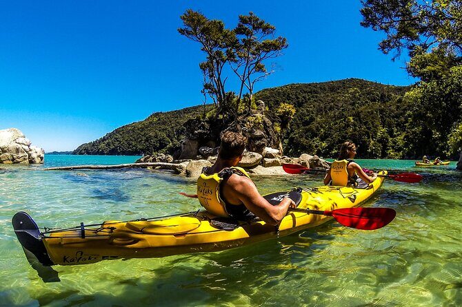 Full-Day Freedom Kayak Rental in New Zealand - Who this kayak freedom day suits best
