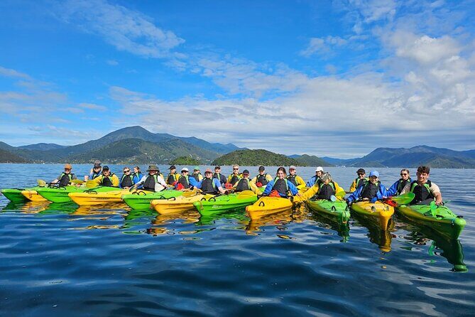 Full day Guided Sea Kayak Tour from Picton - How the Guide Picks the Route (and Why It Matters)
