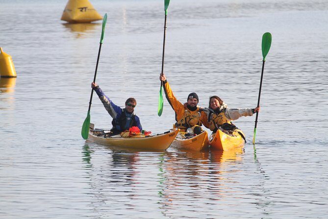 Full day Guided Sea Kayak Tour from Picton - The Beachside Lunch Stop: Local Food Without Leaving the Water
