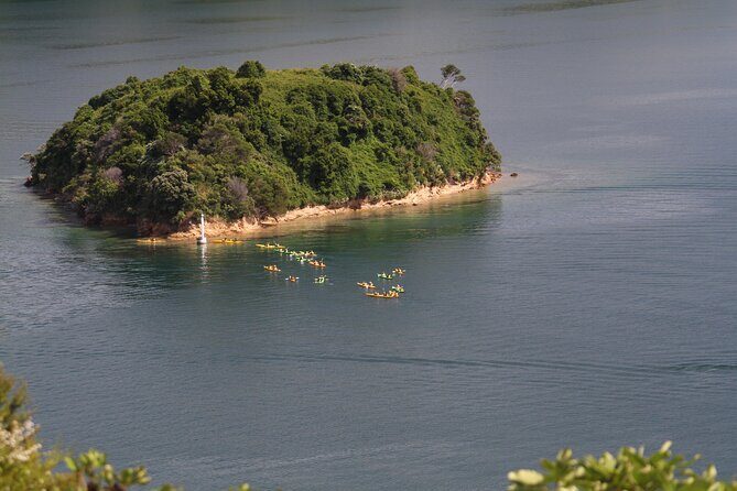 Full day Guided Sea Kayak Tour from Picton - Who Should Book This Tour (and Who Might Want a Different Plan)