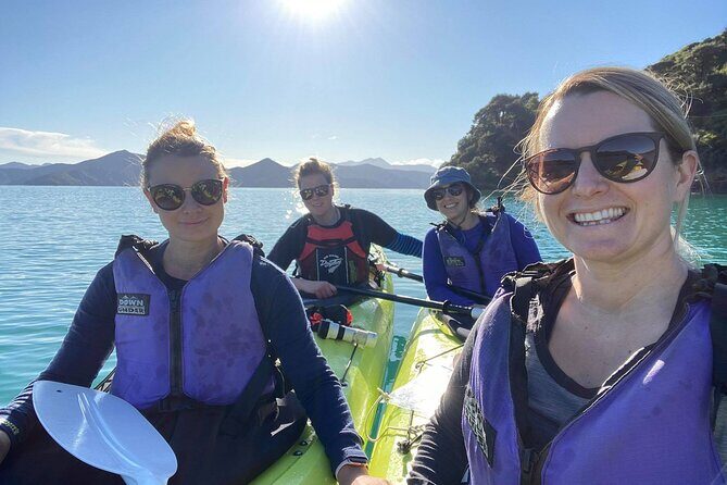 Full-Day Guided Sea Kayak Trip from Picton - Key things to know before you go
