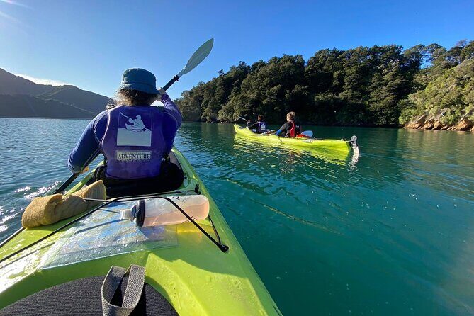 Full-Day Guided Sea Kayak Trip from Picton - Starting from Picton: the small-group feel begins right at 8:15