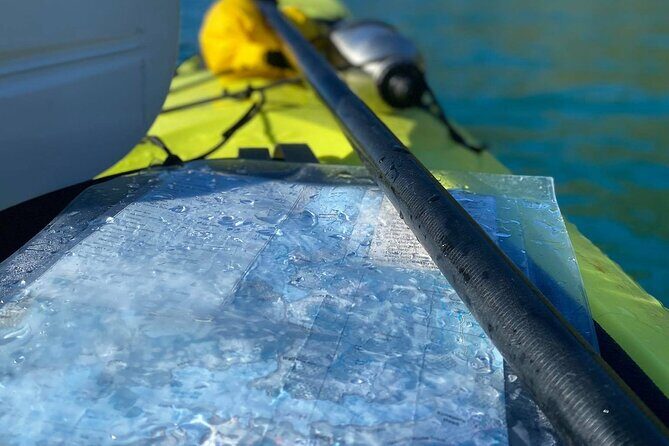 Full-Day Guided Sea Kayak Trip from Picton - Morning tea at a remote beach: the break that keeps the day enjoyable