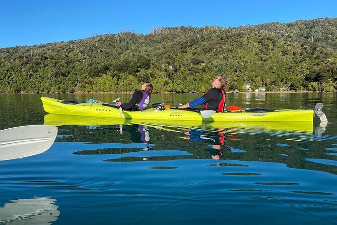 Full-Day Guided Sea Kayak Trip from Picton - The guide’s role: more than directions, it’s the story behind the paddle