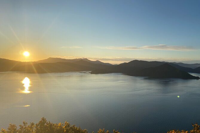 Full-Day Guided Sea Kayak Trip from Picton - Price and value: why $105.50 can feel like a deal
