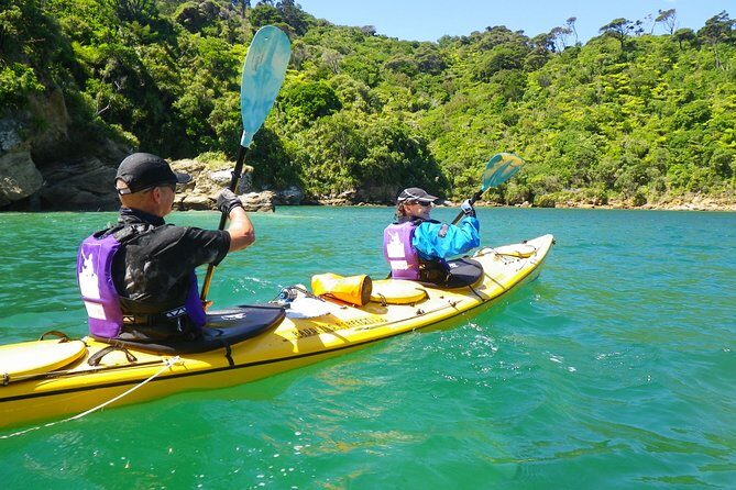 Full-Day Guided Sea Kayak Trip from Picton - Paddling the Queen Charlotte Sound: bays, coves, and real wildlife time