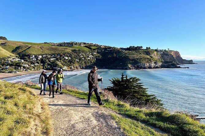 Full Day Guided Walking Tour and Picnic around Godley Head - Setting out from Christchurch: Sumner Beach and the morning rhythm