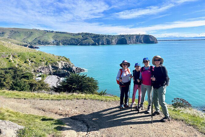 Full Day Guided Walking Tour and Picnic around Godley Head - Godley Head crater rim sights: Scott’s Hutt, WWII gun emplacements, penguins