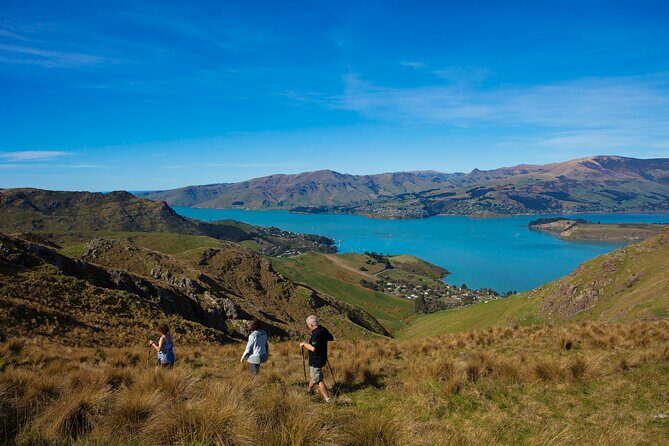 Full Day Guided Walking Tour and Picnic around Godley Head - Picnic lunch on the coast: why the pacing feels so good