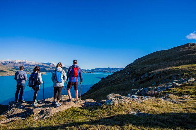 Full Day Guided Walking Tour and Picnic around Godley Head - The 5-mile loop walk: 8 km that feels like more (and why poles help)