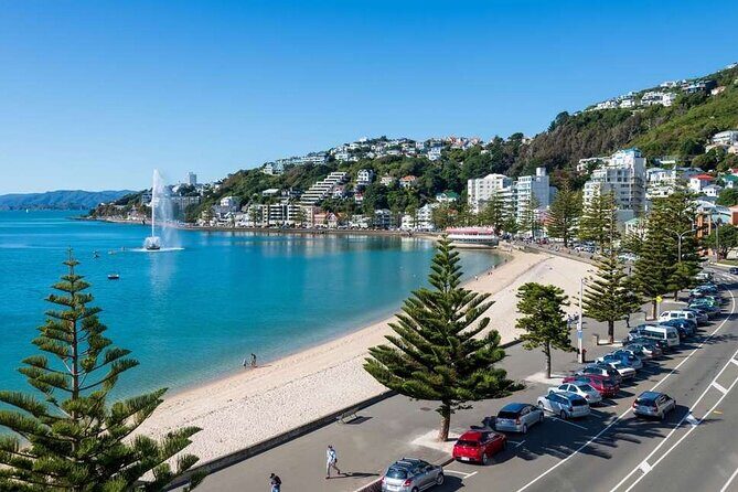 Full Day Guided Wellington Tour including guided tour at Te Papa - Key highlights you’ll actually feel during the day