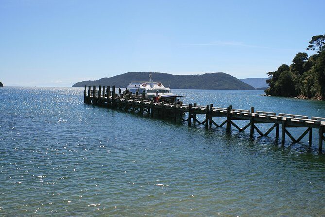 Full-Day Marlborough Catamaran Cruise with Wine Tour and Lunch - Key Points You’ll Care About