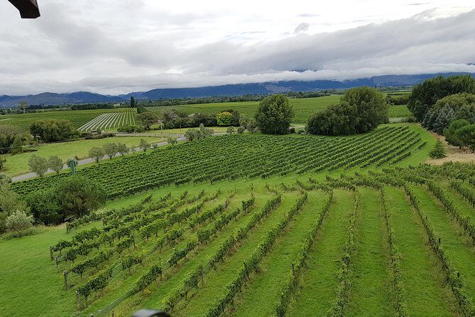 Full-Day Marlborough Catamaran Cruise with Wine Tour and Lunch - The Value Math: Is $235.82 a Good Deal for This Much Day?