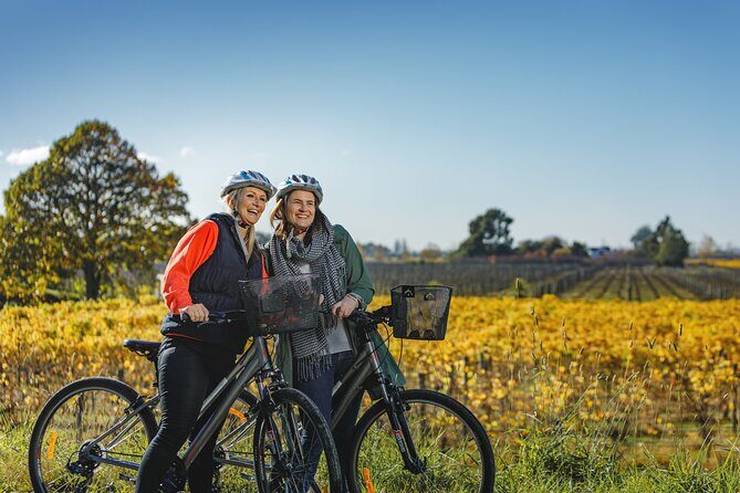 Full-Day Marlborough Wine Region Bike Hire - Key things to know before you ride Marlborough’s wine trail