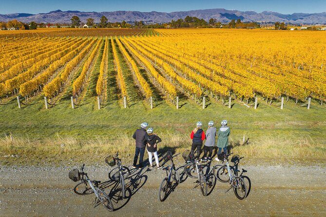 Full-Day Marlborough Wine Region Bike Hire - Cellar doors and tastings: the NZ$10 reality check