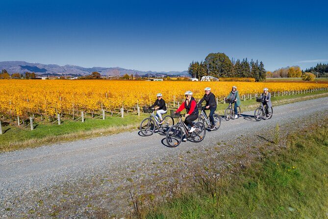Full-Day Marlborough Wine Region Bike Hire - Lunch and breaks: winery restaurants on your terms