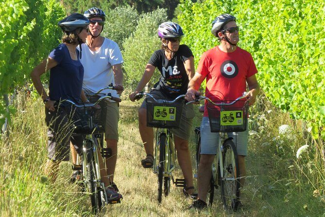 Full-Day Marlborough Wine Region Bike Hire - The 9:30am to 4:30pm window: how to pace tastings without rushing