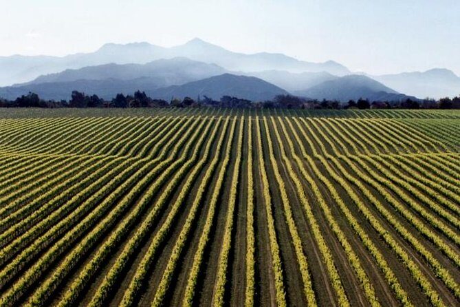 Full-Day Marlborough Wine Tour from Blenheim - Getting picked up in Blenheim (and Picton) without wrecking your day